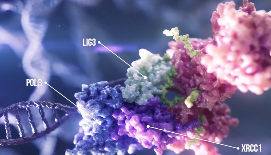 清华大学结构生物学科普医学动画宣传片图