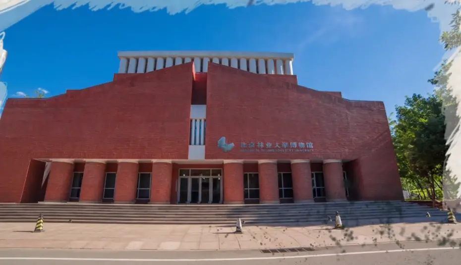 北京林业大学学校宣传片图片