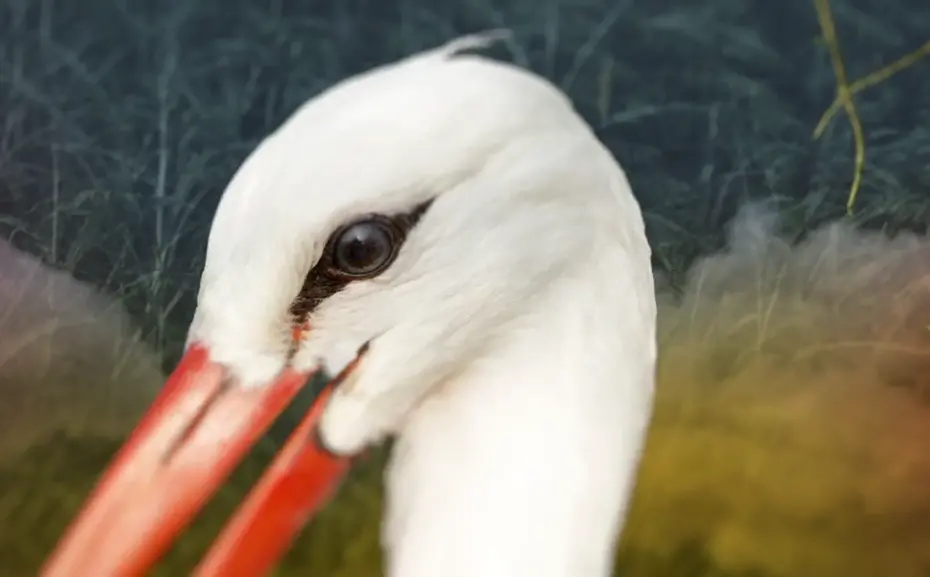 3d角色动画图片