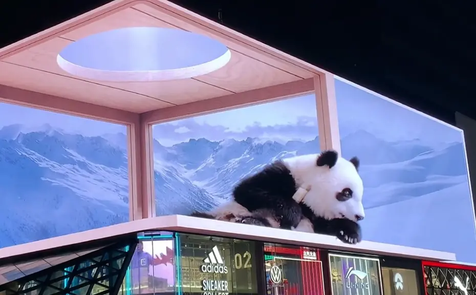 裸眼3d图片