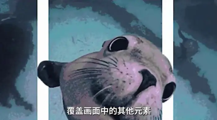 裸眼3D技术