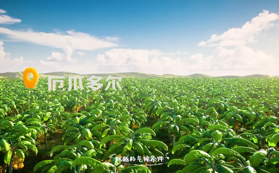 4A广告公司的报价流程是怎么样的