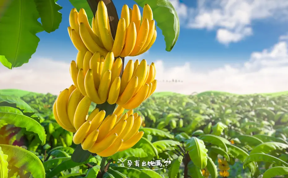 三维动画和二维动画分不清还能干分镜吗