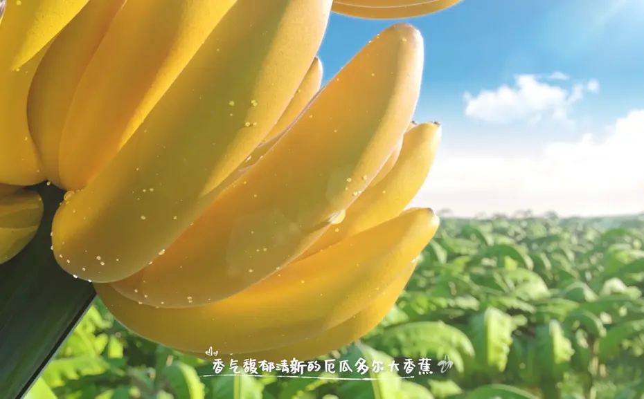 三维动画创作实训心得体会？实践感悟：三维动画创作实训之旅