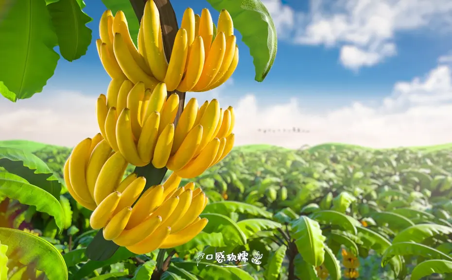 动漫三维动画运用哪些技术
