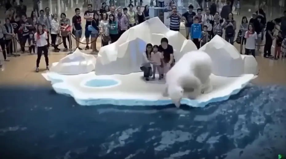 3d全息投影作用是什么原理