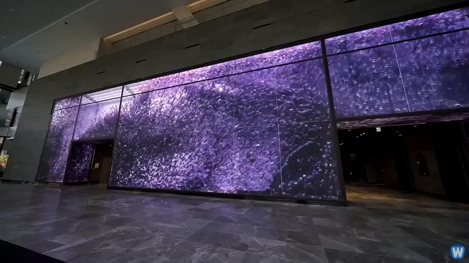 全息投影led屏多少钱一台?LED全息投影屏幕的市场价格是多少? 全息投影led屏多少钱一台?LED全息投影屏幕的市场价格是多少?