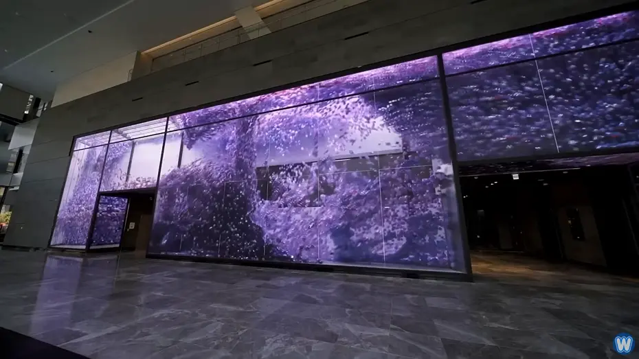 全息投影人像价格多少钱一套？全息投影影像系统的价格是多少一份？