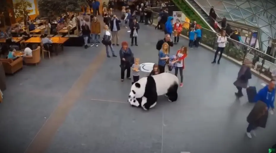 全息投影的市场特征是什么呢？全息投影市场的特性有哪些？