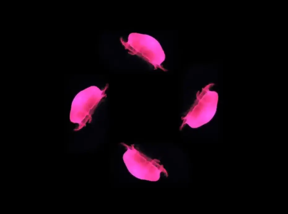 全息投影的科学原理是什么？全息投影技术背后的科学基础何在？