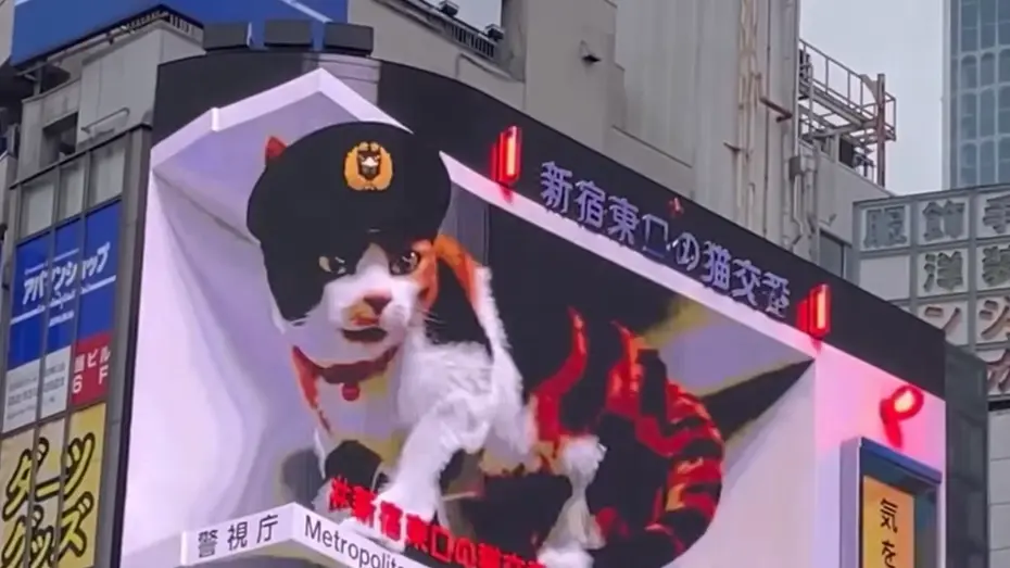 5d全息投影多少钱一台啊？5D全息投影设备的市场价格是多少？