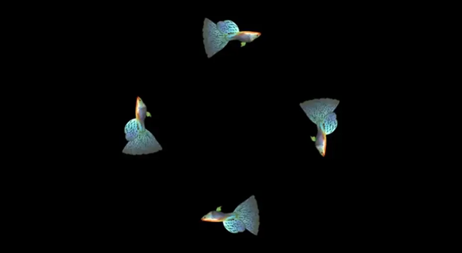 全息投影的技术难点在于什么?全息投影技术的主要挑战是什么? 全息投影的技术难点在于什么?全息投影技术的主要挑战是什么?