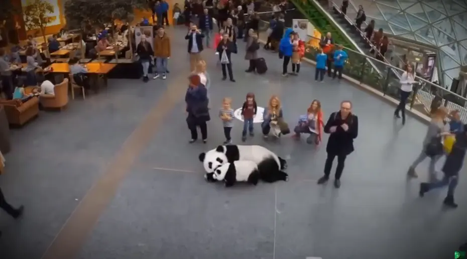 反射全息投影原理是什么意思？什么是反射全息投影的原理？