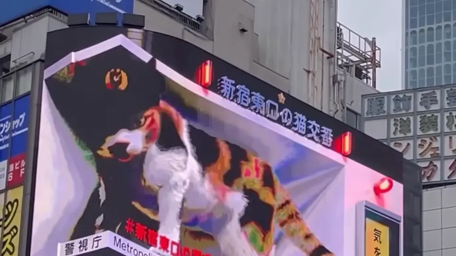 全息投影5d广告机多少钱一个？5D全息投影广告机的市场价格是多少？