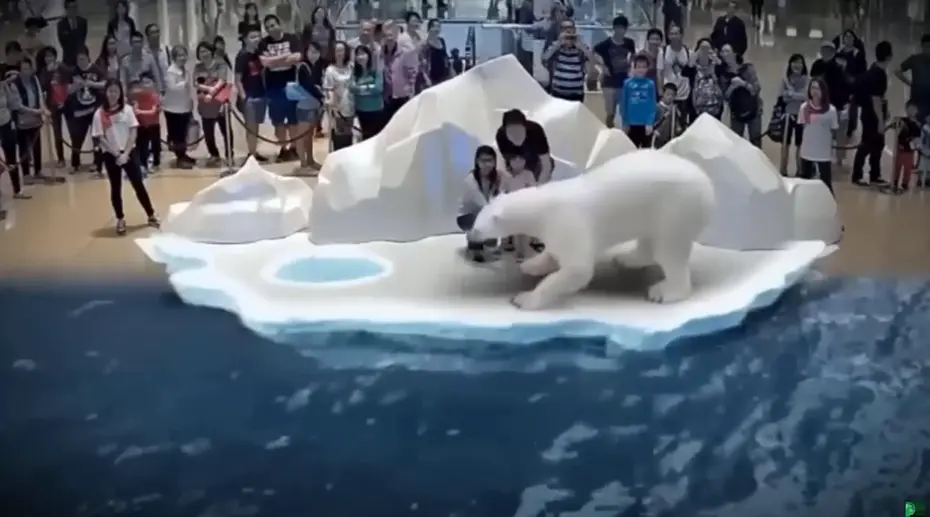 地球末日生存全息投影有什么用？全息投影在地球末日生存中的应用与价值